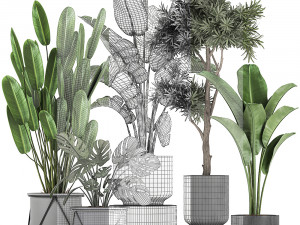collection of decorative plants in flowerpots 749 3D Модель