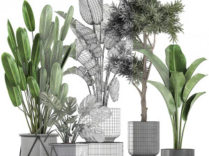 collection of decorative plants in flowerpots 749 3D Model