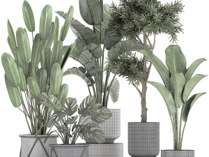collection of decorative plants in flowerpots 749 3D Модель