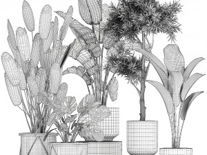 collection of decorative plants in flowerpots 749 3D Model