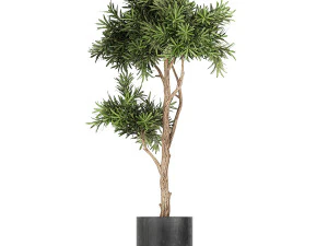 collection of decorative plants in flowerpots 749 3D Model
