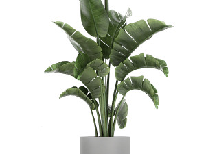 collection of decorative plants in flowerpots 749 3D Модель