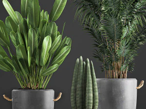 houseplants in concrete flowerpots 750 3D Model