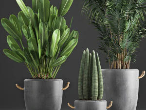 houseplants in concrete flowerpots 750 3D Model