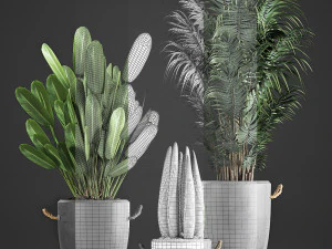 houseplants in concrete flowerpots 750 3D Model