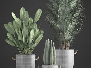 houseplants in concrete flowerpots 750 Modello 3D