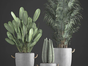 houseplants in concrete flowerpots 750 3D Model