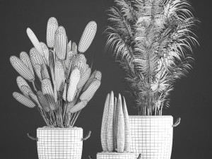 houseplants in concrete flowerpots 750 Modello 3D
