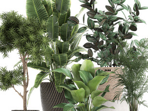 collection of decorative plants in baskets 752 Model 3D
