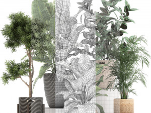 collection of decorative plants in baskets 752 Model 3D