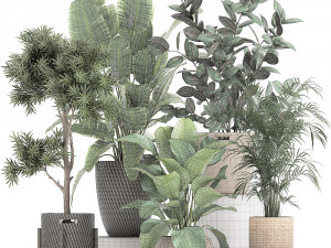 collection of decorative plants in baskets 752 Model 3D