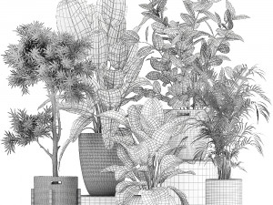 collection of decorative plants in baskets 752 Model 3D