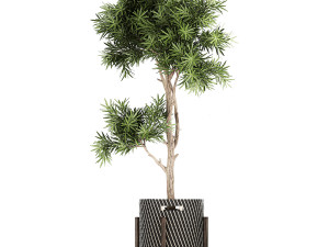 collection of decorative plants in baskets 752 Model 3D