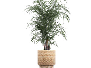 collection of decorative plants in baskets 752 Model 3D