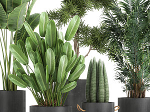 collection of decorative plants in flowerpots 754 Modelo 3D