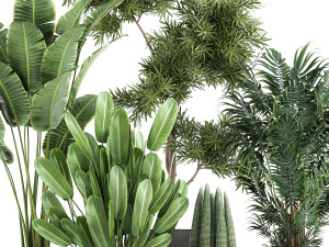 collection of decorative plants in flowerpots 754 Modelo 3D