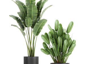 collection of decorative plants in flowerpots 754 Modelo 3D