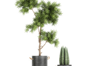 collection of decorative plants in flowerpots 754 Modelo 3D