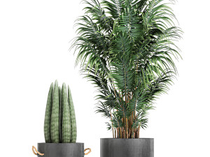 collection of decorative plants in flowerpots 754 Modelo 3D