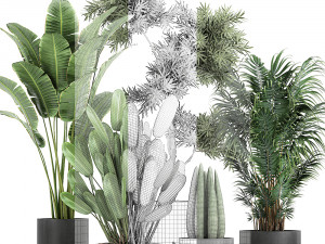 collection of decorative plants in flowerpots 754 Modelo 3D