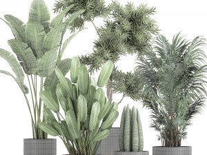 collection of decorative plants in flowerpots 754 Modelo 3D
