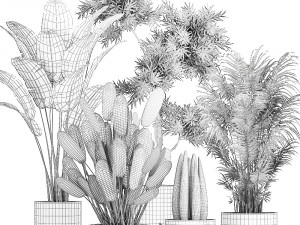 collection of decorative plants in flowerpots 754 Modelo 3D
