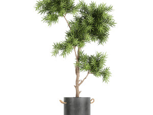 collection of decorative plants in flowerpots 754 Modelo 3D