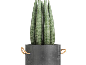 collection of decorative plants in flowerpots 754 Modelo 3D