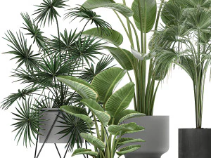 collection of decorative plants in flowerpots 756 3D Model