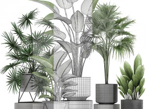 collection of decorative plants in flowerpots 756 3D Model