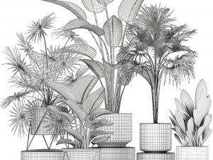 collection of decorative plants in flowerpots 756 3D Model