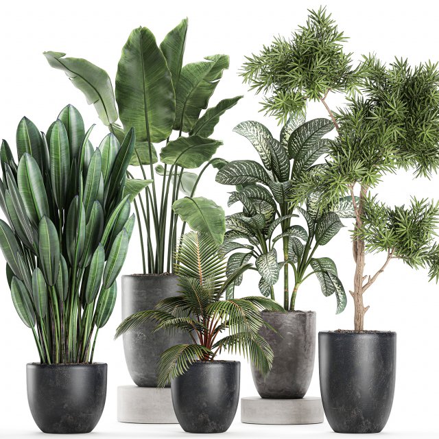 collection of decorative plants in flowerpots 756 3D 模型 .c4d .max .obj .3ds .fbx .stl .blend 
