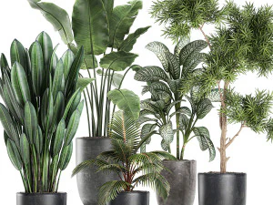 cole&ccedil;&atilde;o de plantas decorativas em vasos 756 Modelo 3D