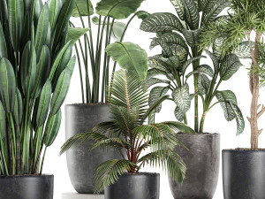 collection of decorative plants in flowerpots 756 3D Model
