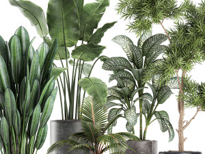 collection of decorative plants in flowerpots 756 3D 模型