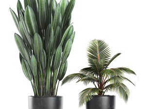 collection of decorative plants in flowerpots 756 3D 模型