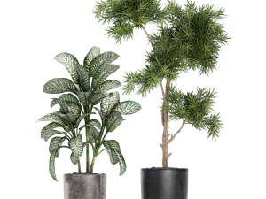 collection of decorative plants in flowerpots 756 3D Model