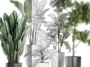 collection of decorative plants in flowerpots 756 3D 模型