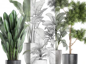 collection of decorative plants in flowerpots 756 3D Model
