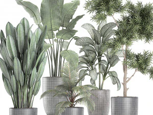 collection of decorative plants in flowerpots 756 3D Model