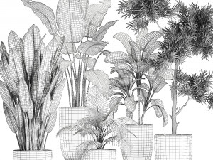 collection of decorative plants in flowerpots 756 3D 模型