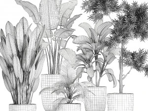 collection of decorative plants in flowerpots 756 3D Model