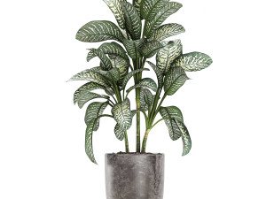 collection of decorative plants in flowerpots 756 3D 模型