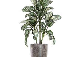 collection of decorative plants in flowerpots 756 3D Model