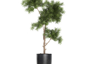 collection of decorative plants in flowerpots 756 3D 模型