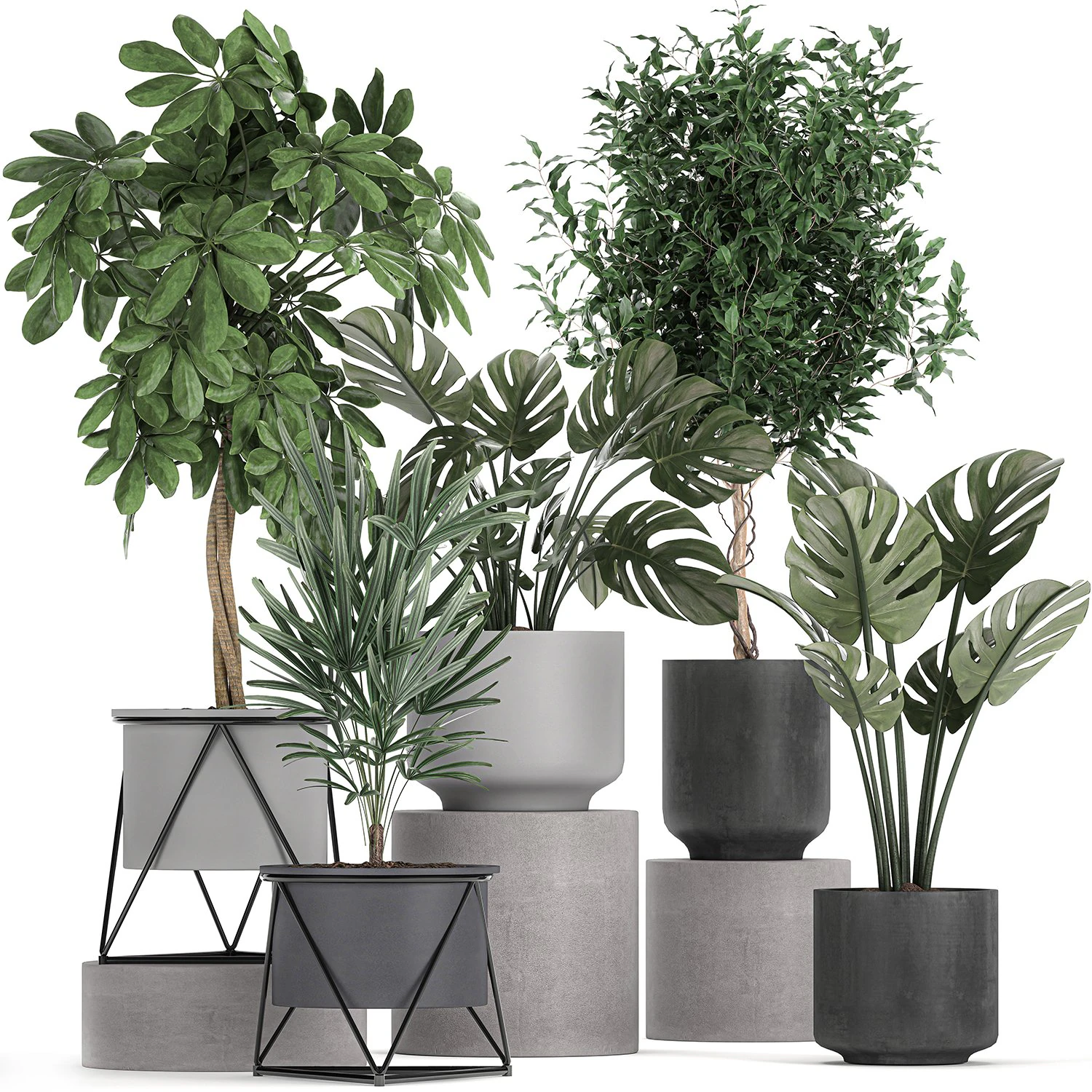 collection of decorative plants in flowerpots 759 3D Model .c4d .max .obj .3ds .fbx .stl .blend 