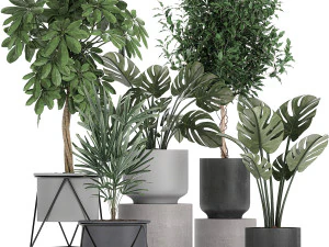 collection of decorative plants in flowerpots 759 3D Model