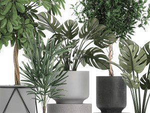 collection of decorative plants in flowerpots 759 3Dモデル