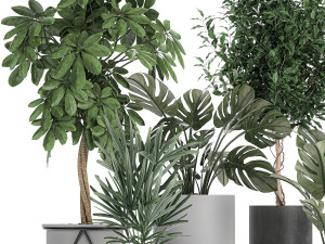 collection of decorative plants in flowerpots 759 3Dモデル