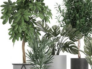 collection of decorative plants in flowerpots 759 3D Model